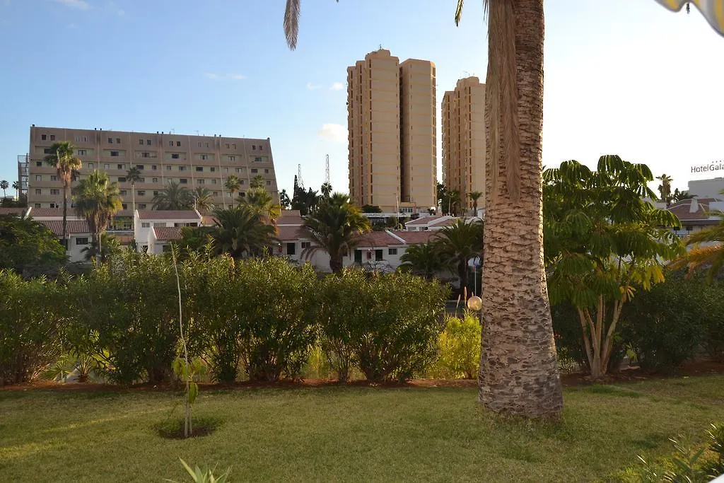 Paradero I Playa de las Americas  Apartment Playa de las Americas (Tenerife)
